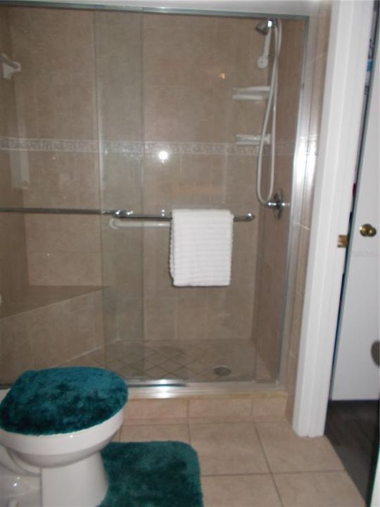 Master bath shower