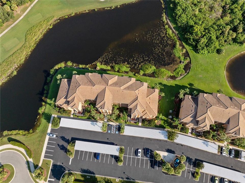 Overhead Aerial of Bldg 6411 (each resident has one covered carport parking spot) and plenty of parking for guests