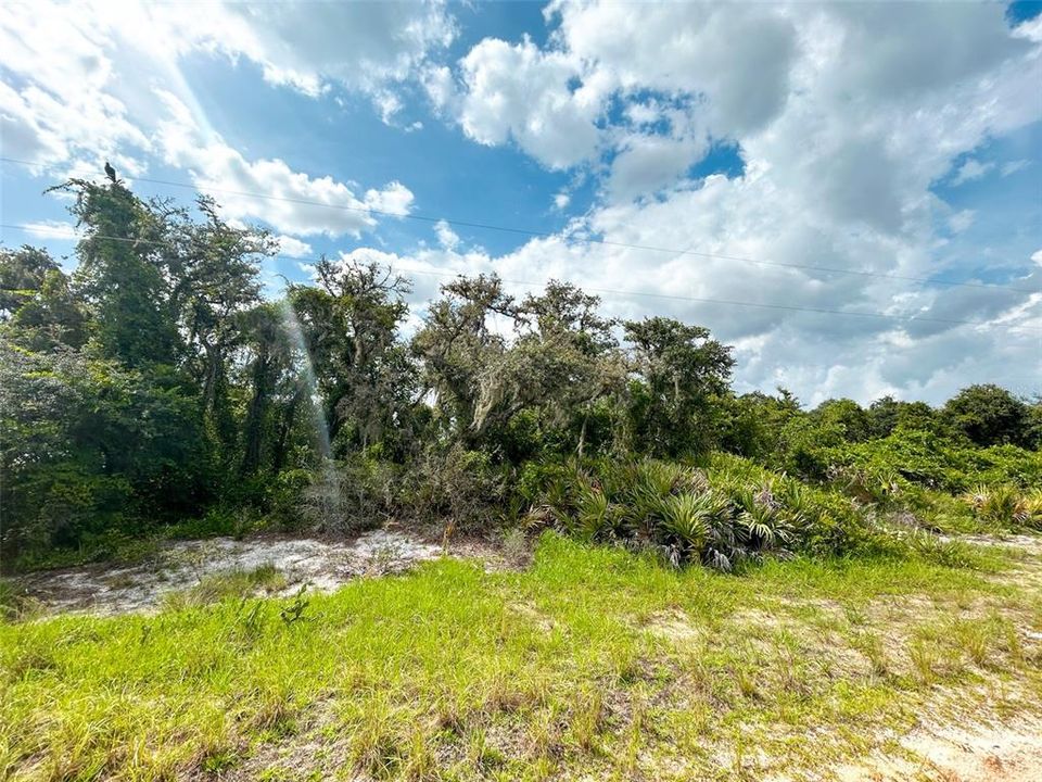 En Venta: $21,599 (0.37 acres)