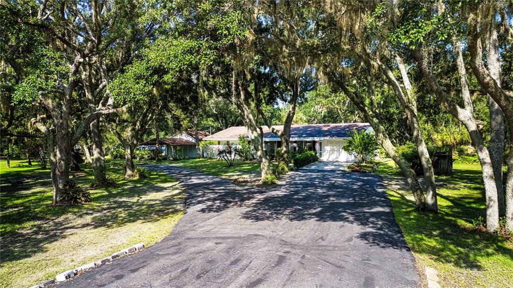 Paved driveway from the street