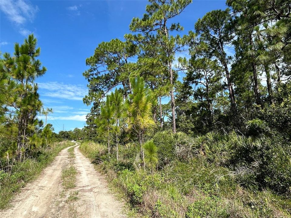 En Venta: $14,990 (0.21 acres)