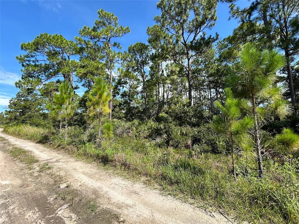 En Venta: $14,990 (0.21 acres)