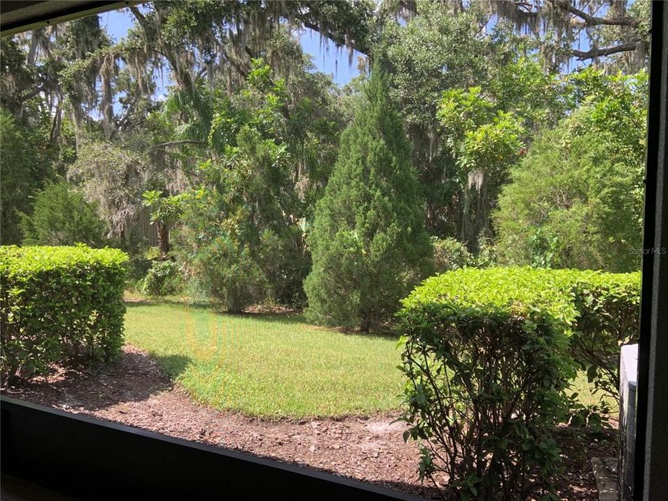 quiet lanai view