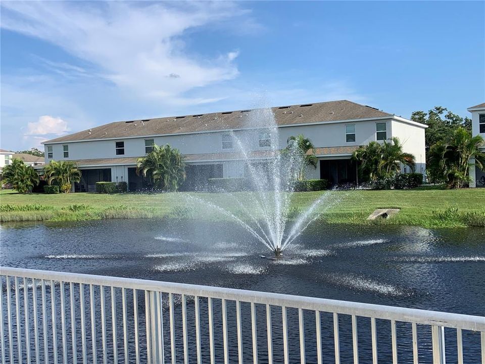 fountain / pond view