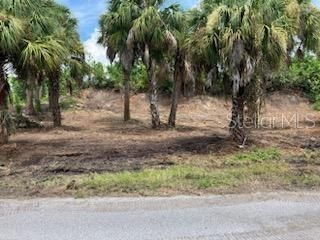 Active With Contract: $105,000 (0.23 acres)