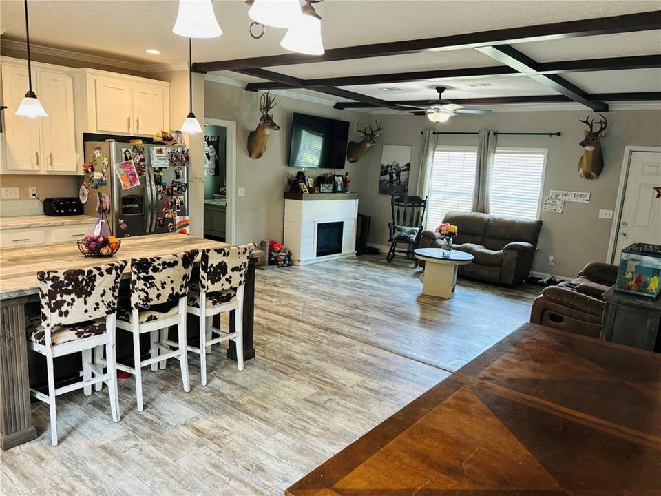 Kitchen/Great Room