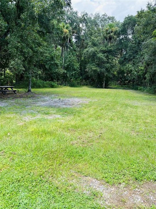 Looking at west portion of the property