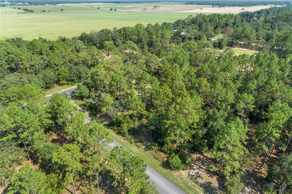 For Sale: $38,000 (1.03 acres)