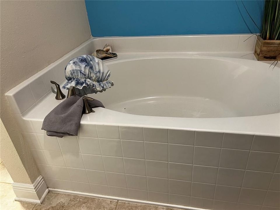 Primary Bath - Separate Garden Tub