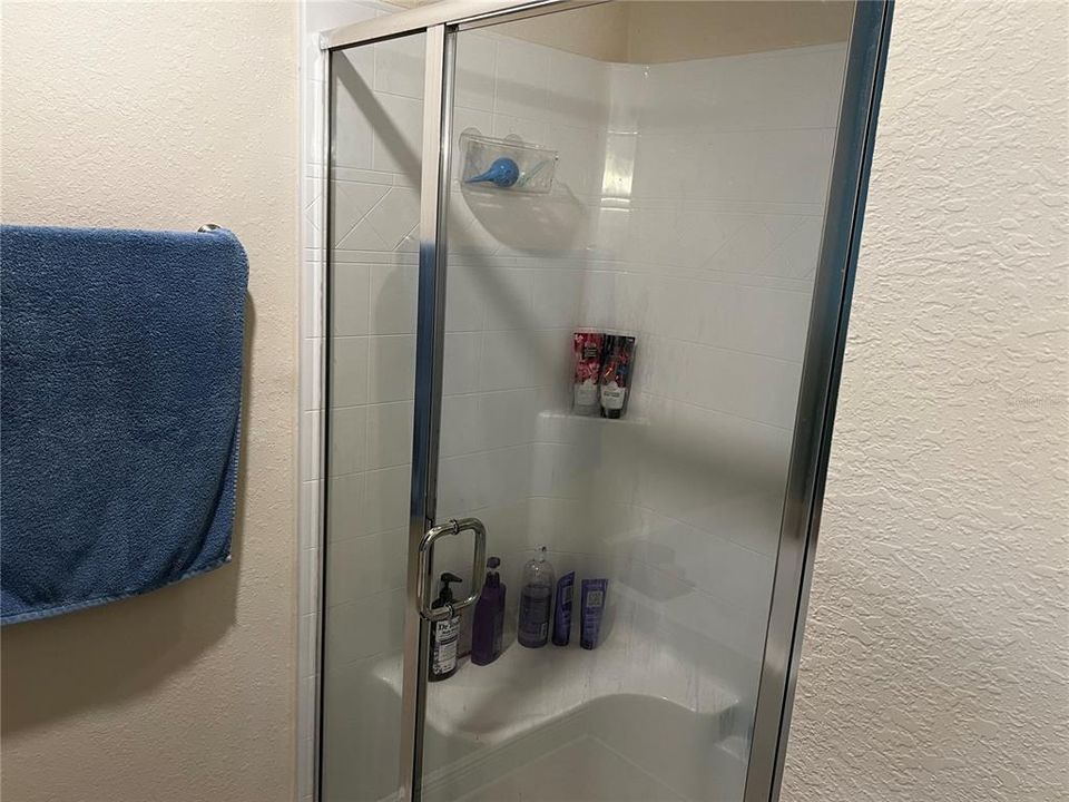 Primary Bath - Separate Shower