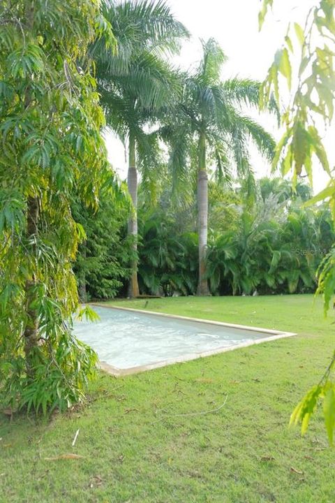 待售: $9,995,000 (6 贝兹, 7 浴室, 8704 平方英尺)