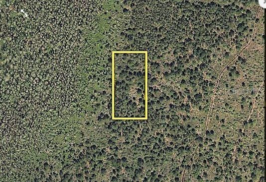 待售: $80,800 (1.25 acres)