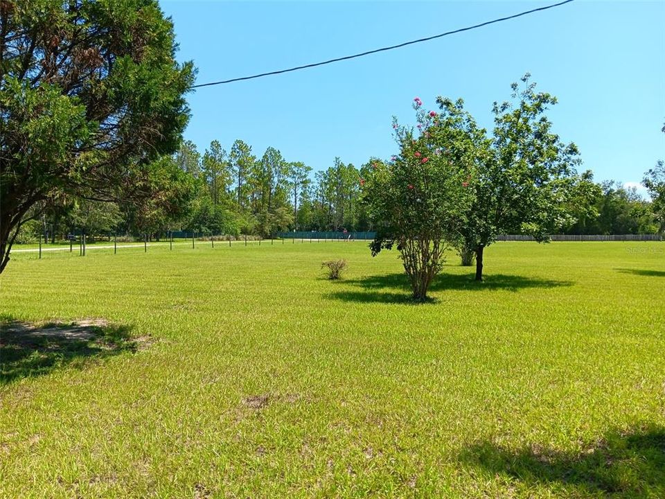 For Sale: $245,000 (3 beds, 2 baths, 1456 Square Feet)