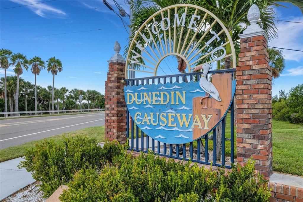 Scenic Dunedin Causeway beaches with walking & biking trail is just steps away~