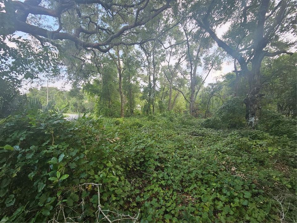 На продажу: $51,900 (0.34 acres)