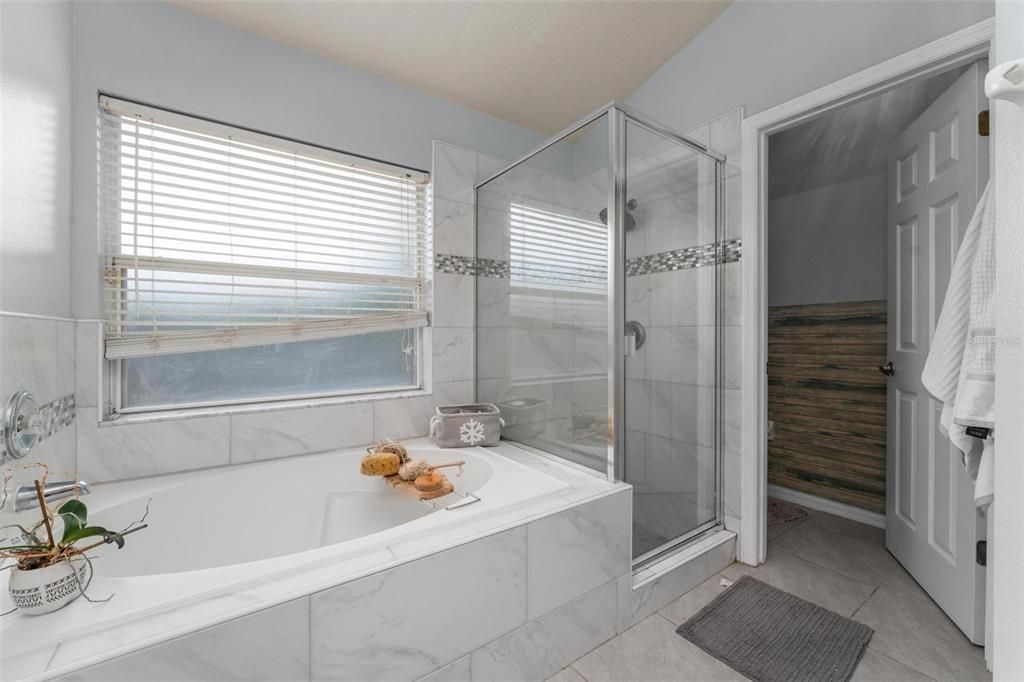 Large soaking tub with separate stand-up shower