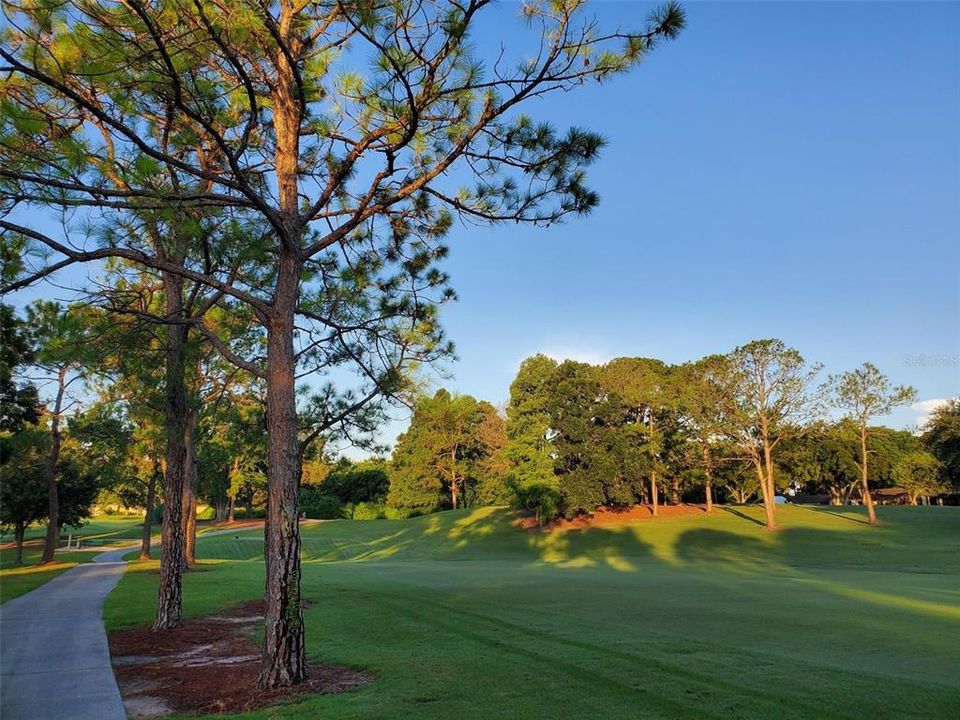 Cart paths become scenic walking/jogging trails early mornings & before sunset~