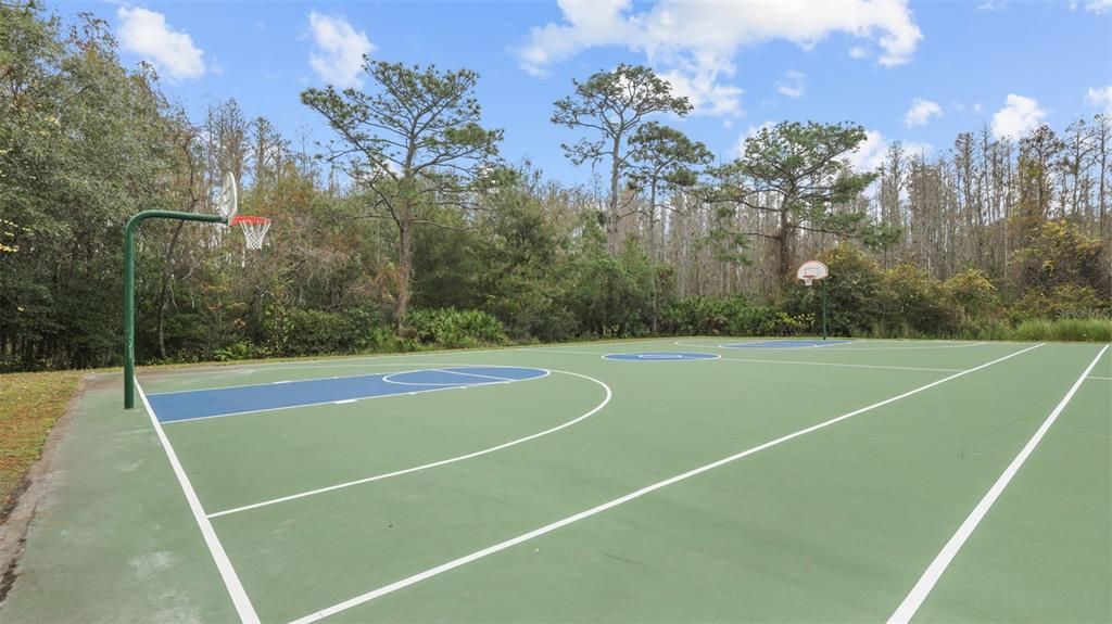 Basketball Court