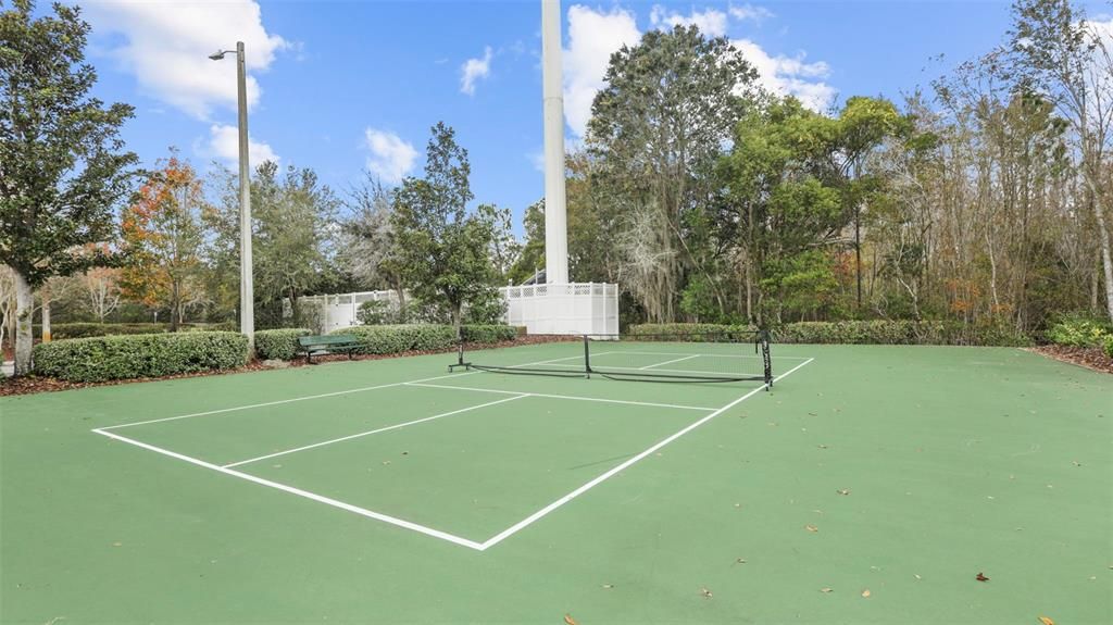 Pickleball Court