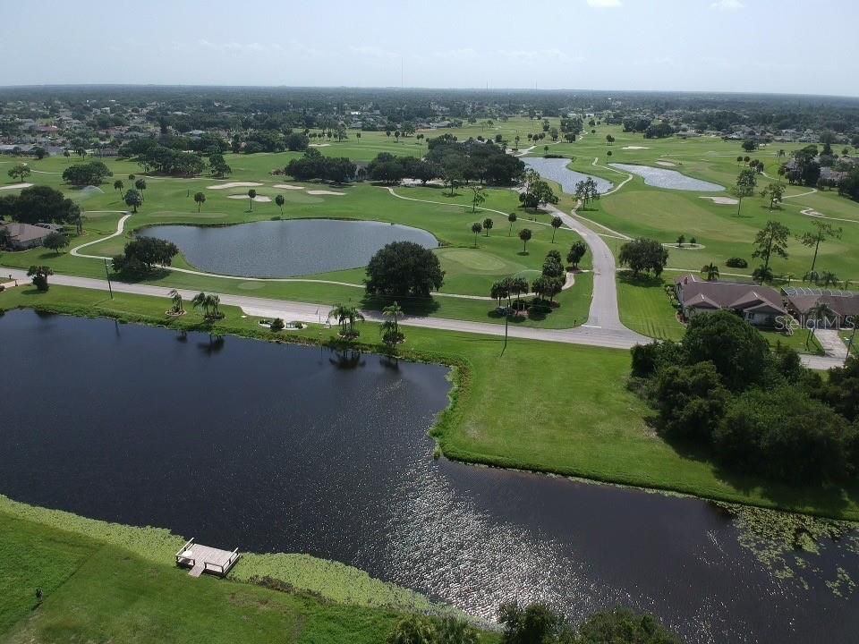 Backyard (Aerial View)