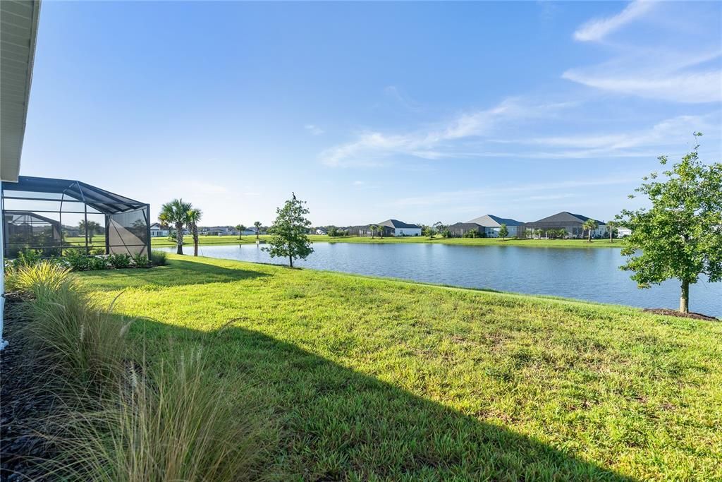 Back yard with Pond View