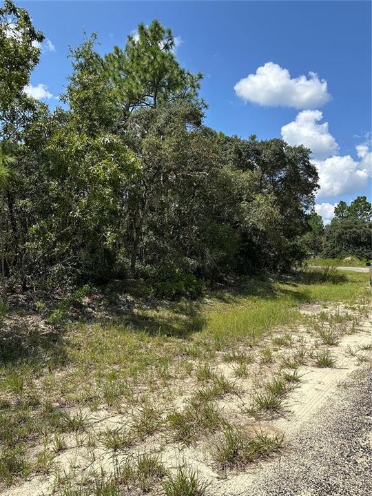 Active With Contract: $18,500 (0.26 acres)