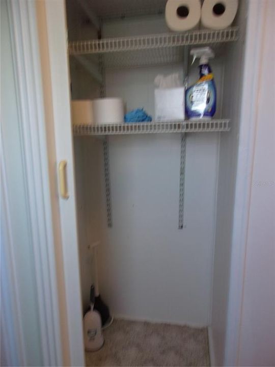 main bath shower made into a closet