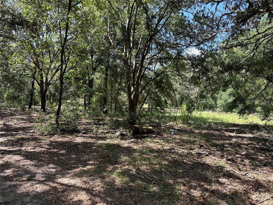 En Venta: $7,000 (0.22 acres)