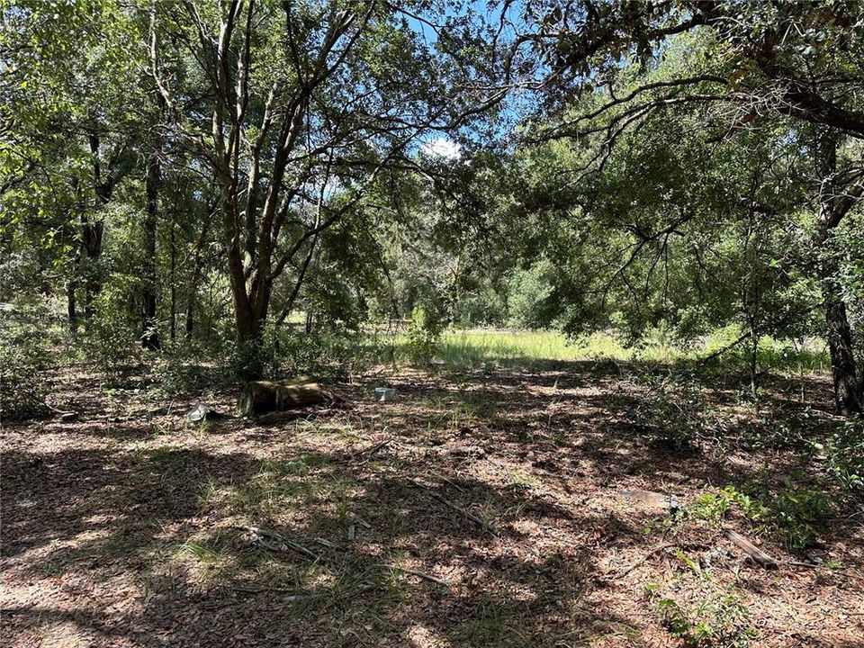 En Venta: $7,000 (0.22 acres)