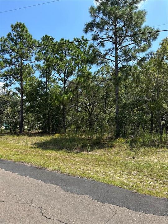 Active With Contract: $18,500 (0.23 acres)