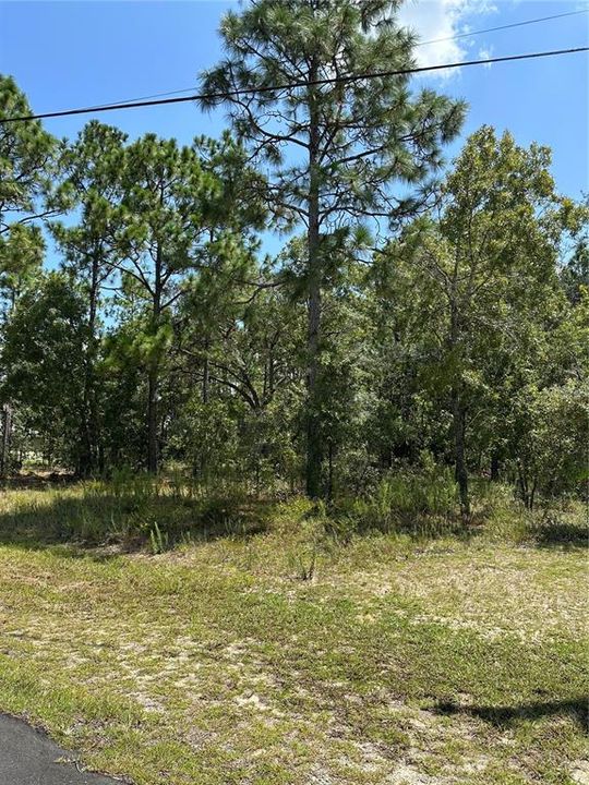 Active With Contract: $18,500 (0.23 acres)