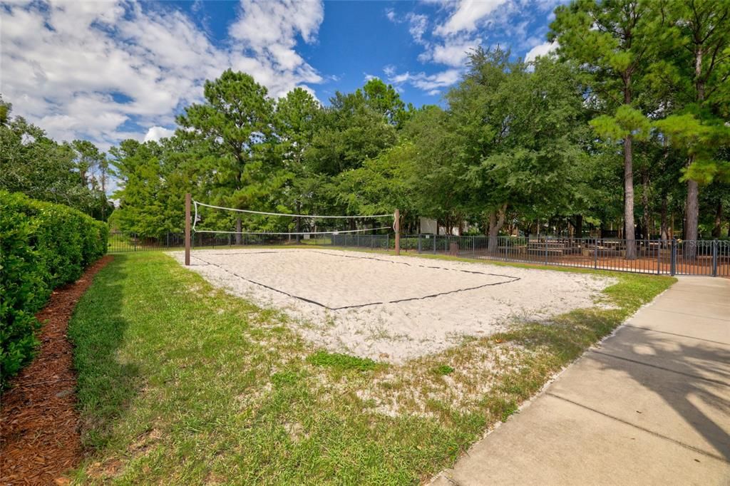 Community Volleyball Court