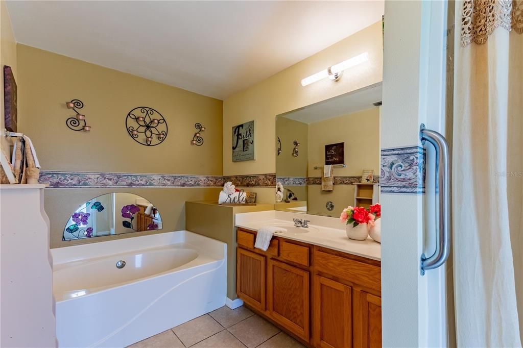 Primary bathroom soaking tub