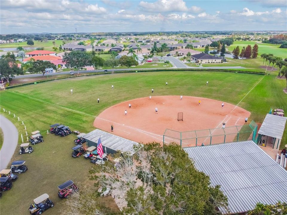 Softball anyone?