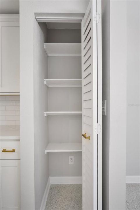 Closet pantry in kitchen