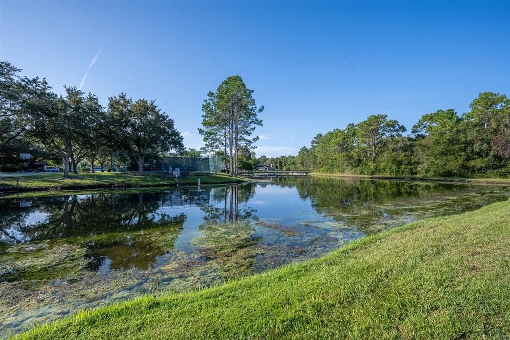 Community Tennis Courts