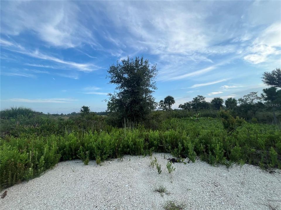 For Sale: $24,900 (1.25 acres)