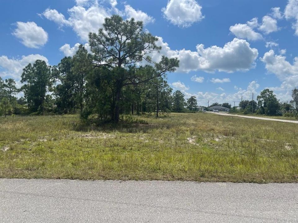 For Sale: $19,995 (0.34 acres)