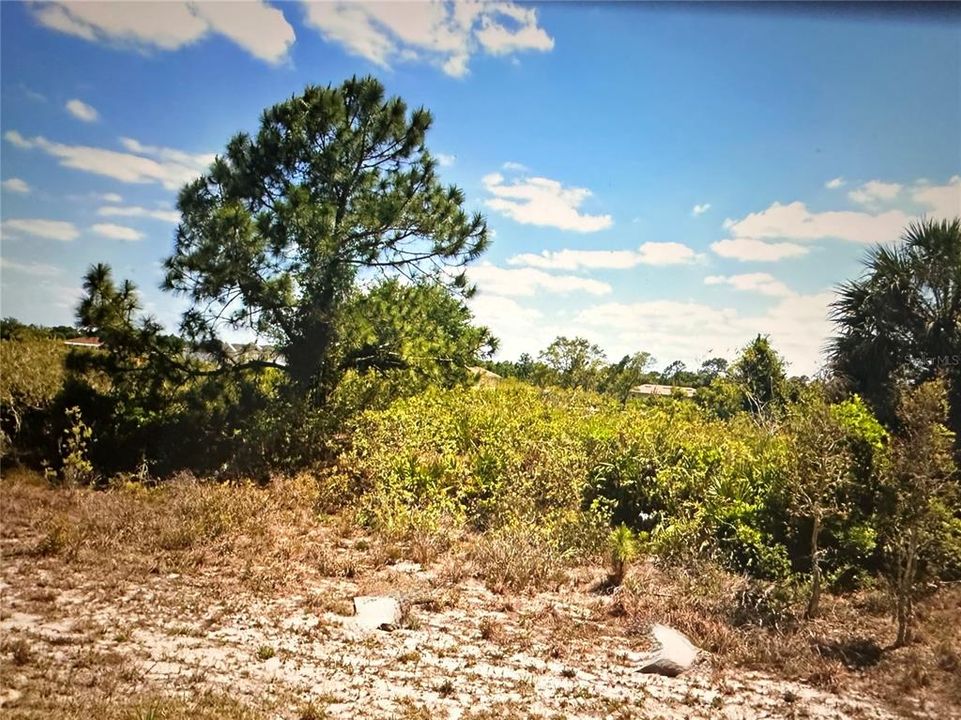 For Sale: $45,000 (0.50 acres)