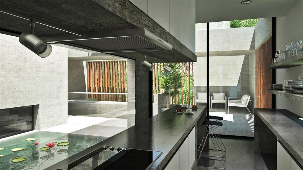 View from Kitchen toward Courtyard Koi Pond