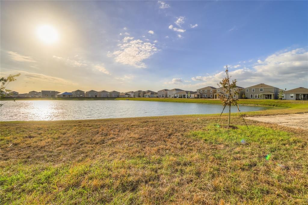 pond view