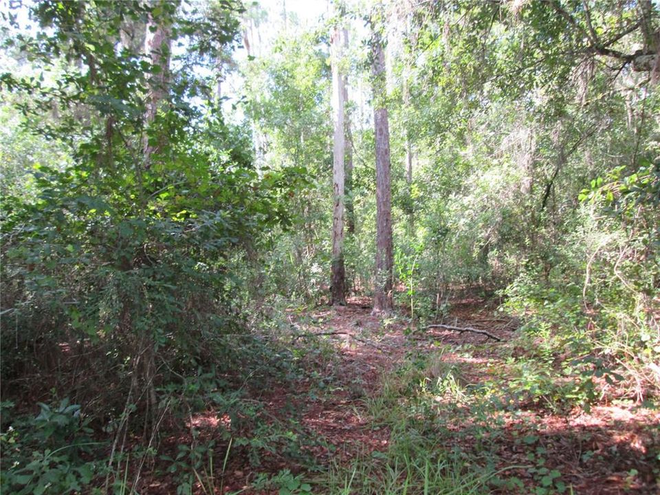 En Venta: $69,500 (2.16 acres)