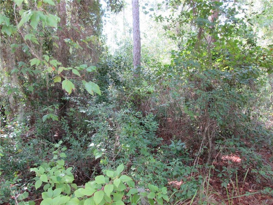 En Venta: $69,500 (2.16 acres)