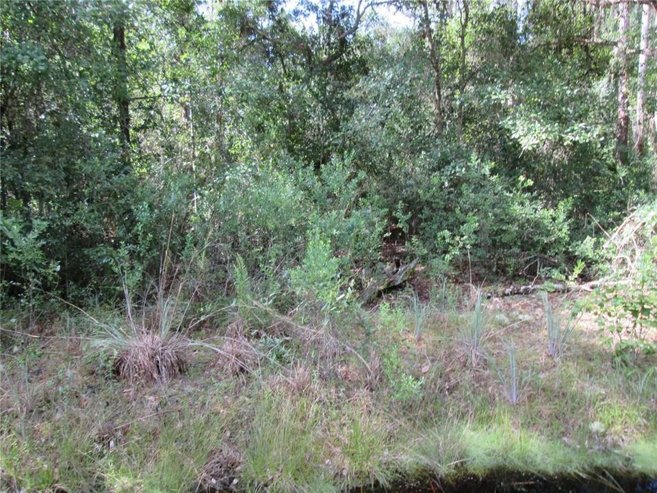 En Venta: $69,500 (2.16 acres)