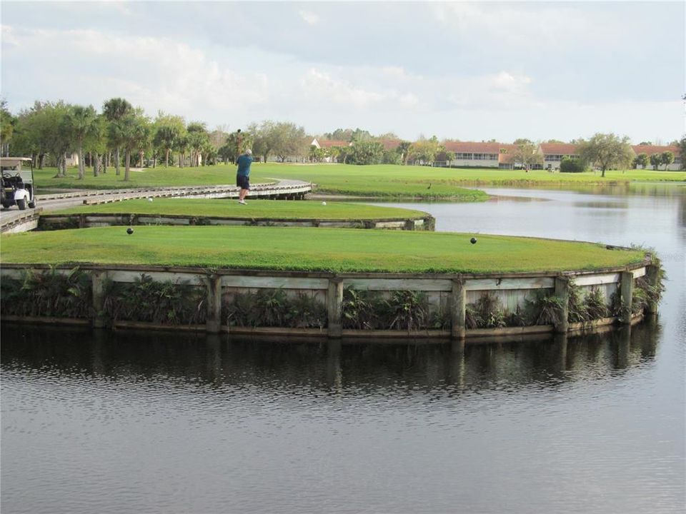 SIGNATURE HOLE AT TARA PRESERVE G.CC.