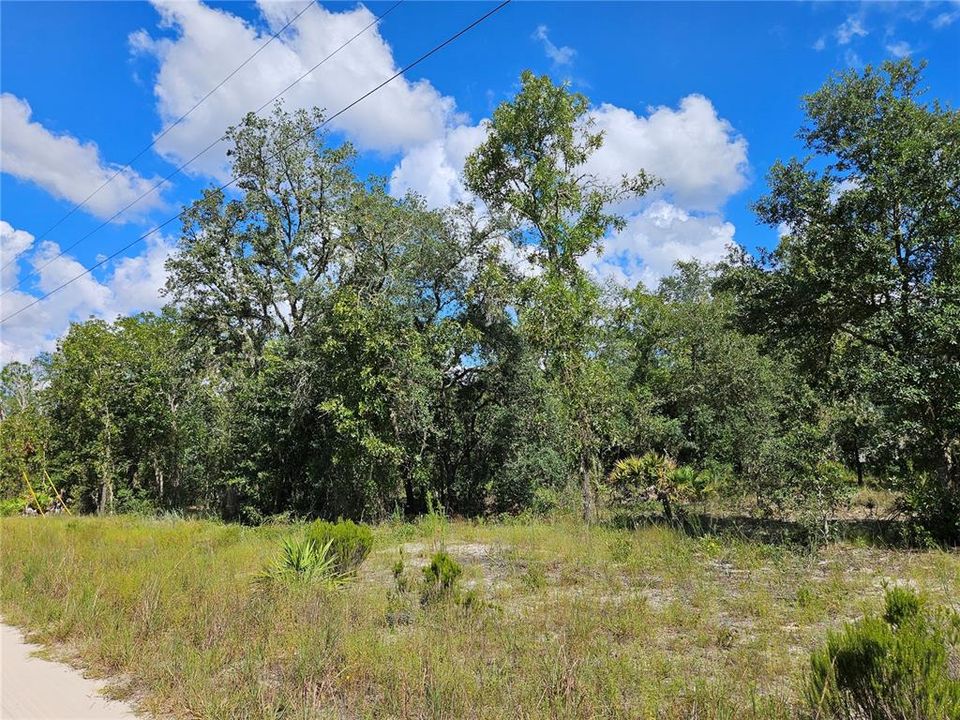 En Venta: $6,000 (0.24 acres)