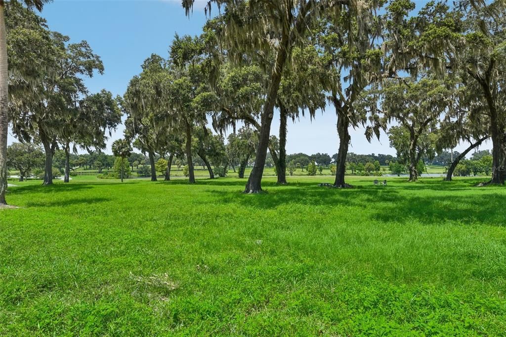 For Sale: $610,000 (11.05 acres)