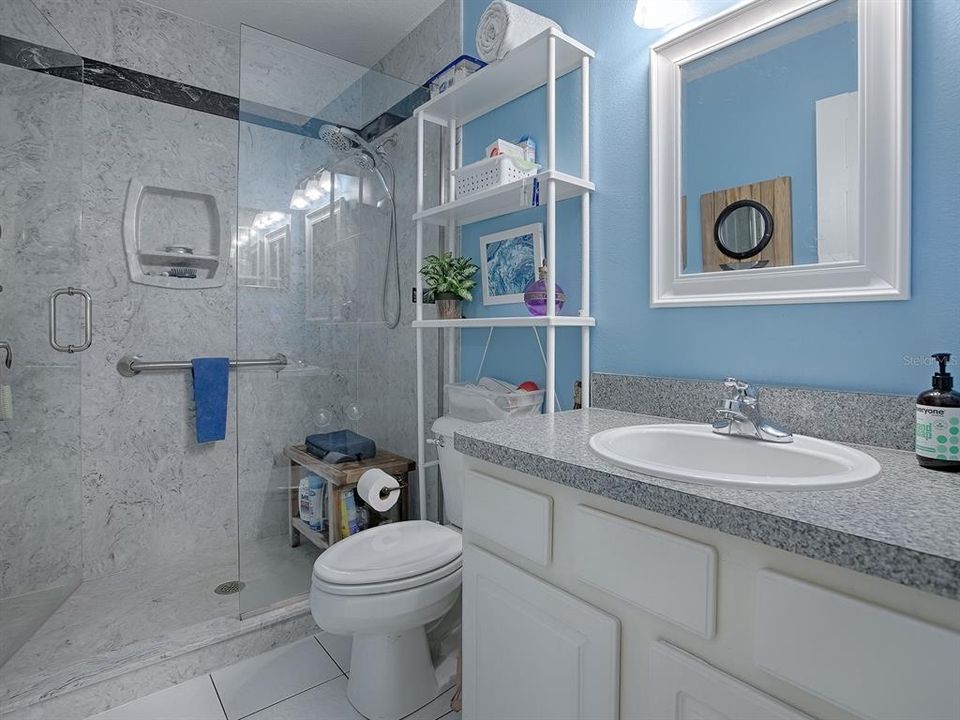 GORGEOUS WALK-IN SHOWER WITH FRAMELESS GLASS DOOR IN THE GUEST BATH