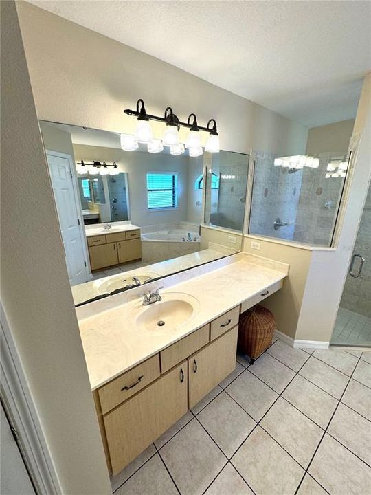 Primary Bathroom with vanity