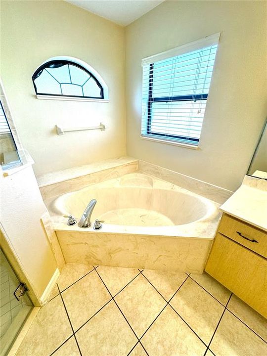 Primary Bathroom Tub